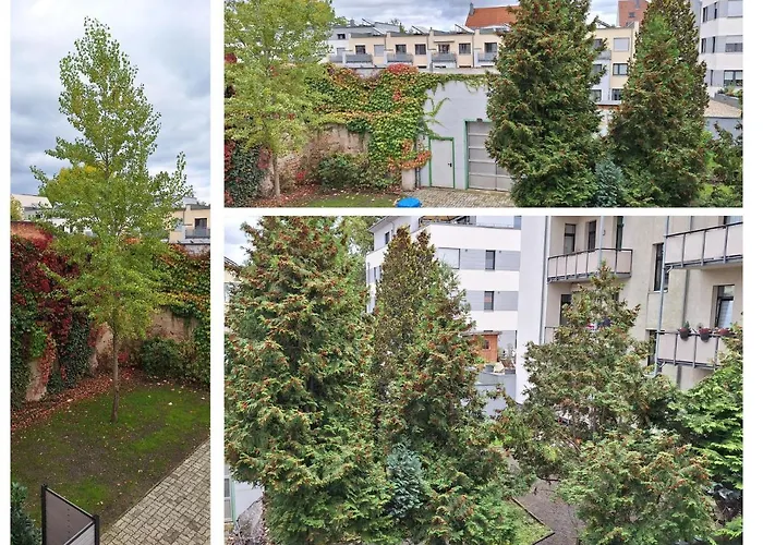 Modernes Einraumzimmer Mit Eigenem Bad, Balkonnutzung, Zentrumsnah - In 10 Minuten Mit Dem Rad Oder Dem Oepnv Zur Arena Und In Leipzigs Innenstadt