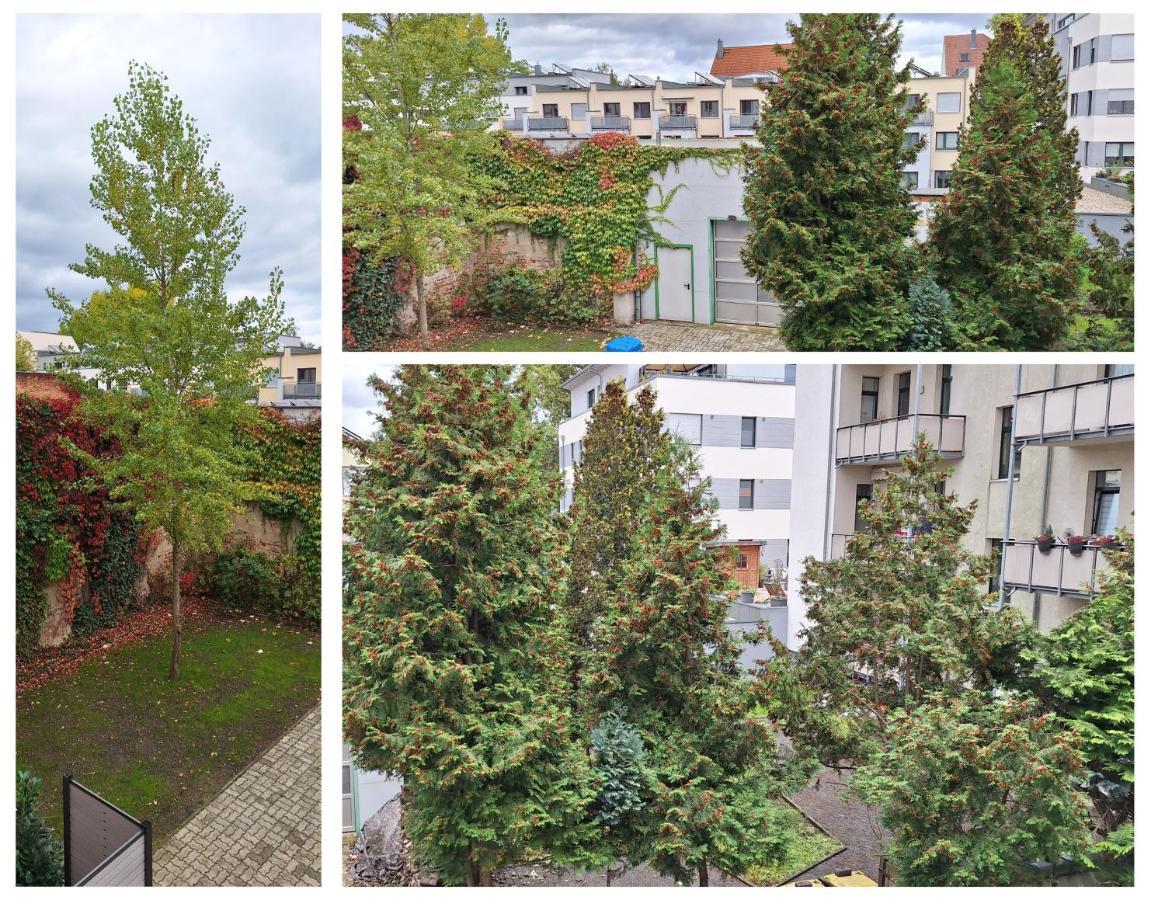 Modernes Einraumzimmer Mit Eigenem Bad, Balkonnutzung, Zentrumsnah - In 10 Minuten Mit Dem Rad Oder Dem Oepnv Zur Arena Und In Leipzigs Innenstadt Privatunterkunft *